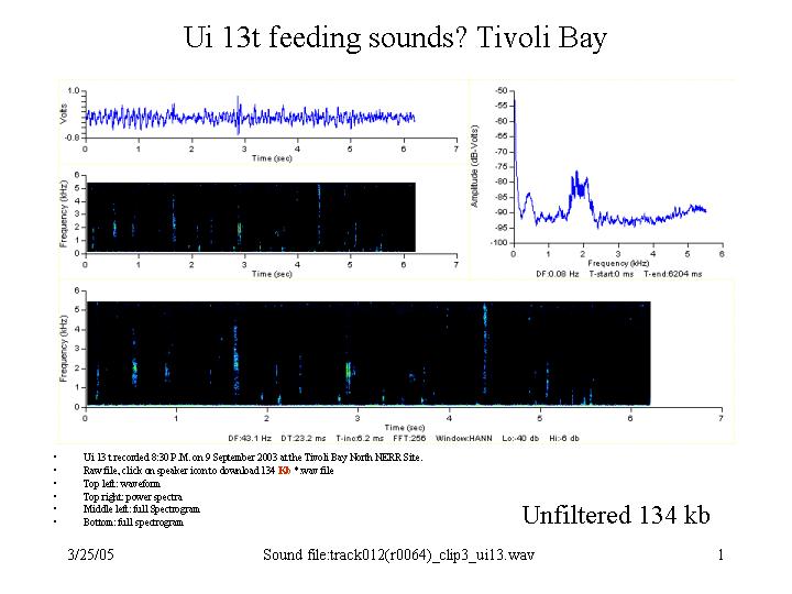 Unknown sound